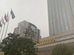 -郑州美盛喜来登大酒店