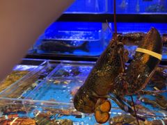 -箸福·夜上海(月牙湖公园店)