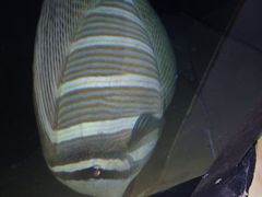 -洛阳龙门海洋馆