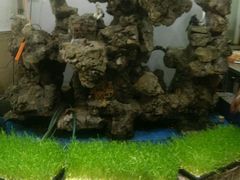 -白家寨子·山野白族菜(古城总店)