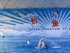 -蓬莱欧乐堡海洋极地世界