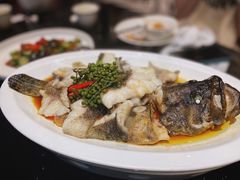 青花椒蒸龙胆鱼-闽和南(深圳万象城店)