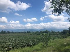 -黑河国家森林公园