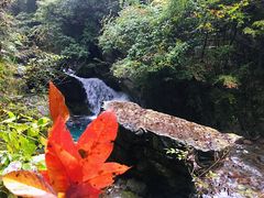 -神农架香溪源景区