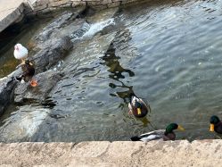 -Oasis Beauty水磨坊科技美肤中心