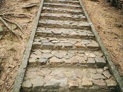 -上海佘山国家森林公园天马山园