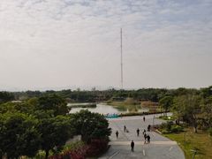 -福田红树林生态公园
