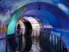 -房山世界地质公园博物馆