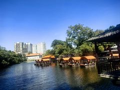 -侨美·唐荔园·40年地道粤菜