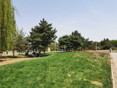 -长春公园(普阳街道)