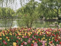 -石家庄市植物园