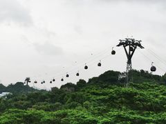 -圣淘沙天际线斜坡滑车