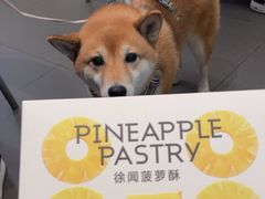 -茶力的小怪兽(梅林卓悦汇店)