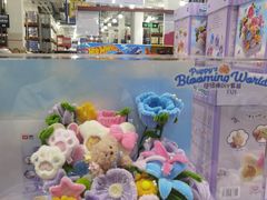 -山姆会员商店(亦庄创意生活广场店)