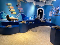 -多彩贵州城极地海洋世界