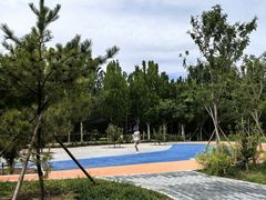-回龙观体育文化公园