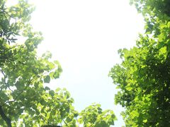-小南海站