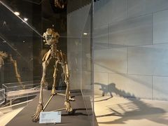 -北京周口店北京人遗址博物馆