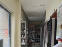 -艾贝尔宠物医院 ·内科全科(梁溪路店)