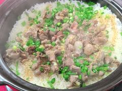 -麻奢鸽农庄·梦里水乡