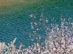 -崂山九水游览区