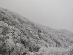 -牛背梁国家森林公园