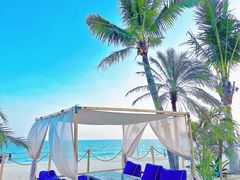 -精酿农场Brew Farm·沙漠绿洲餐厅