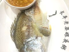 -长平老姿娘夜粥(平东一街店)