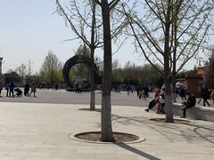 -大兴滨河森林公园