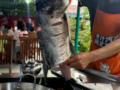 -姥家大锅台水库渔家