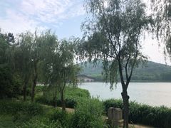 -长广溪湿地公园