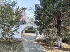 -桃花堤公园