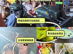 -海南槟榔谷黎苗文化旅游区
