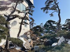 -罗红摄影艺术馆