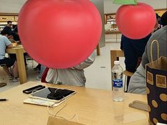 -Apple零售店(玄武湖店)