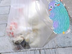 鲜笋肉包-清泉阁包子铺(中山路店)