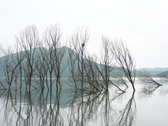 -十三陵水库