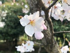 -同里国家湿地公园