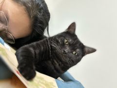 -美联众合爱康动物医院•复杂内科•肿瘤科•牙科•腔镜诊疗中心