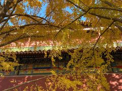 -宝瑞门钉肉饼店