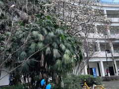 -成都工业学院(郫都校区)