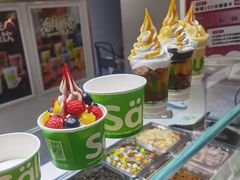 -Salud撒露欧洲冻酸奶(北苑上品店)