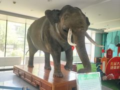 -吉林省自然博物馆