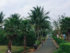 -东寨港红树林旅游区