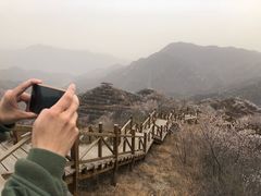 -大岭沟猕猴桃谷风景区