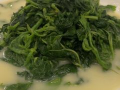 -五谷芳乳鸽王(海景店)