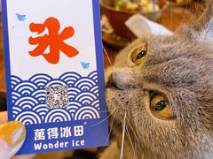 -WONDER ICE 萬得冰田(建設路总店)