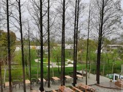 -前小桔亲子创意农场·草莓采摘·露营烧烤