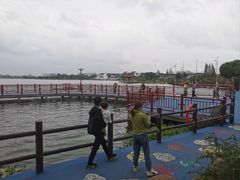 -鹅湖玫瑰文化园