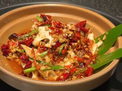 -一善菌·云南菌汤·云南菜(银泰城店)